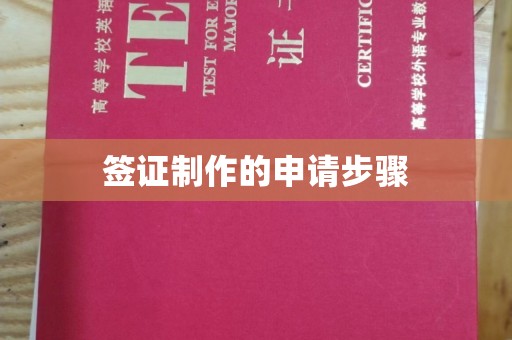 澧县签证制作的申请步骤